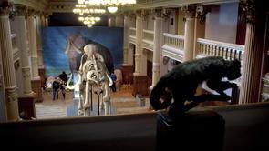 408858065 295 Proanimatie 23