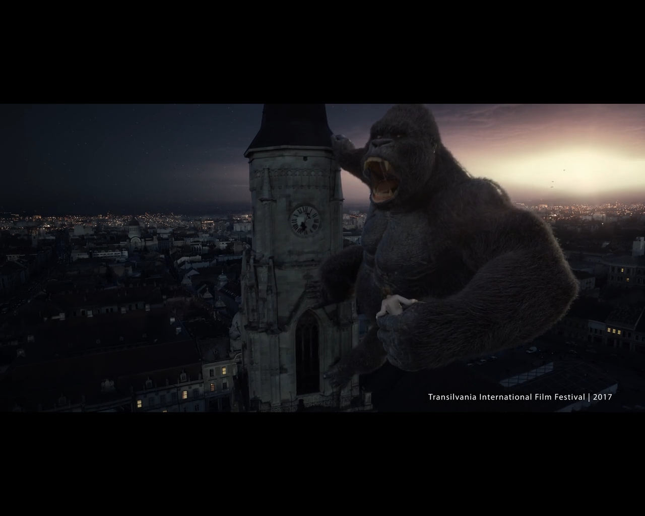 FrameBreed TIFF Proanimatie 7