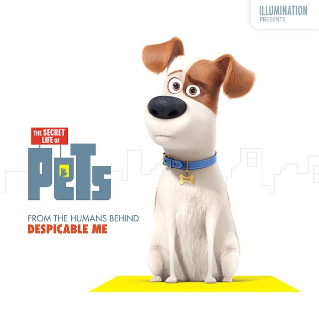 The Secret Life of Pets/ Singuri acasa (2016) sunt primii care va ureaza Sarbatori Fericite! (VIDEO) 1 Proanimatie Singuri acasa 2016 Proanimatie 19