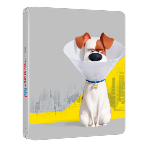 Singuri acasa 2 Proanimatie 18